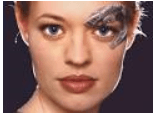 sevenofnine.PNG