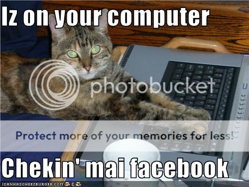 Lol_Cat_Computer_by_strongbad_joe13.jpg