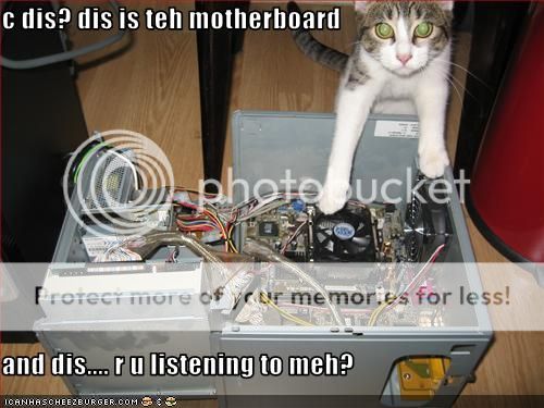 funny-pictures-cat-explains-compute.jpg