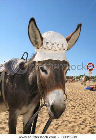 stock-photo-port&#1.jpg