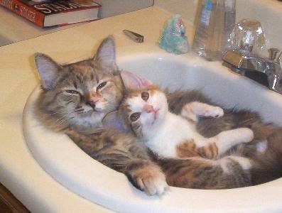 Bath together.jpg