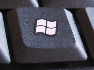 187303_windows_button.jpg