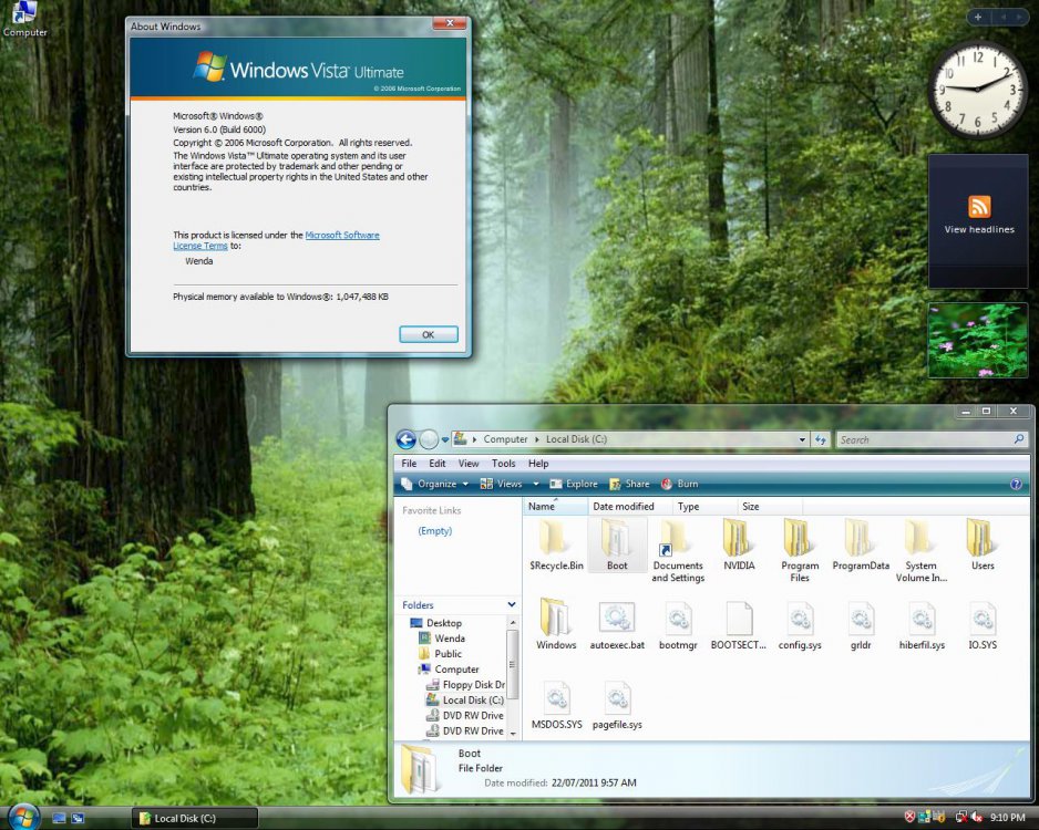 Vista Ult desktop.jpg