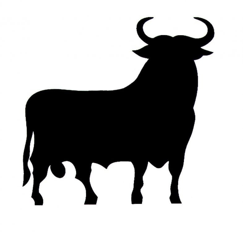 bull-full.jpg