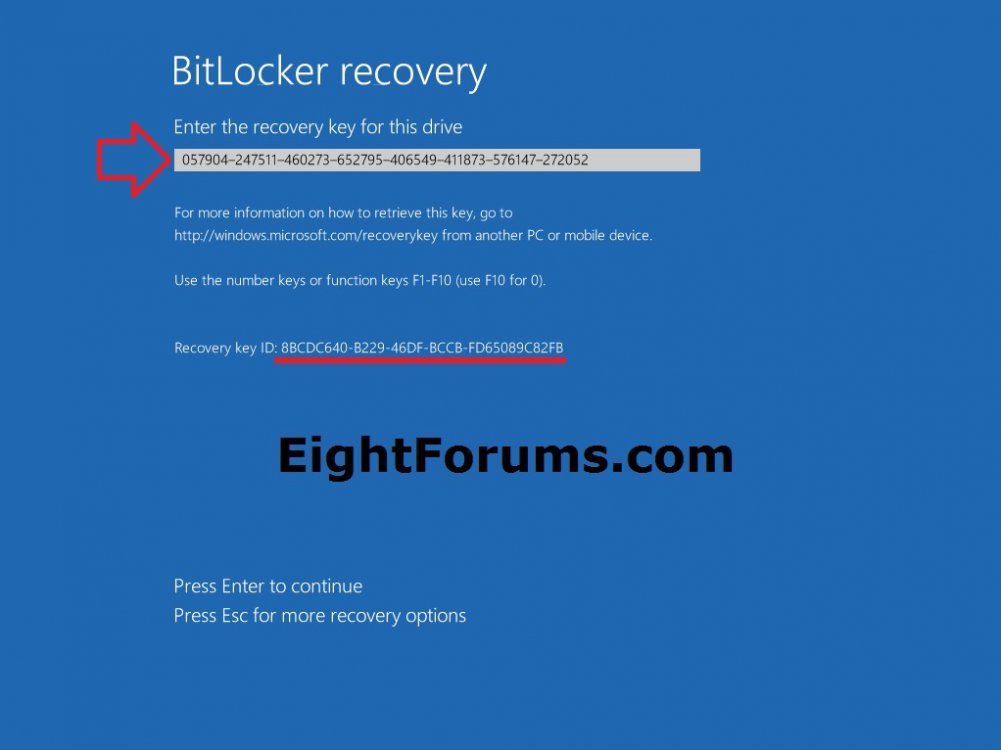 Recover_BitLocker_OS_Drive-2.jpg