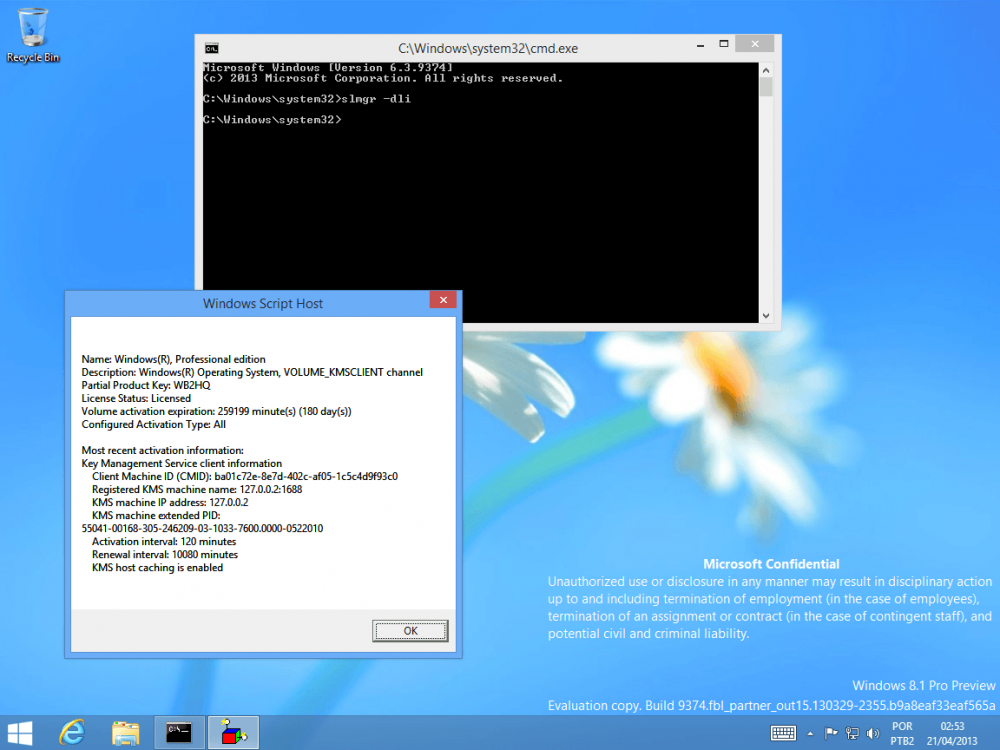 Windows Blue 9374 x86-2013-04-21-02-53-19.png