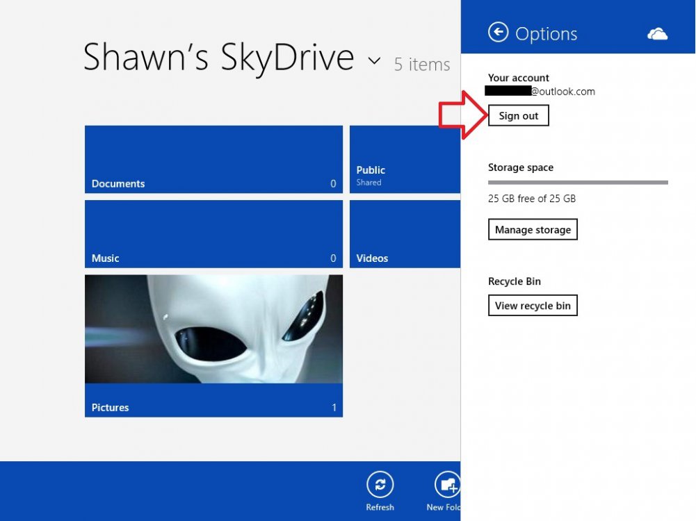 Sign-out_SkyDrive_Store_App-3.jpg