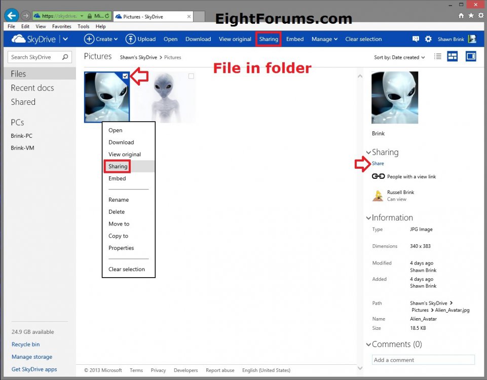 SkyDrive.com_Share_File.jpg