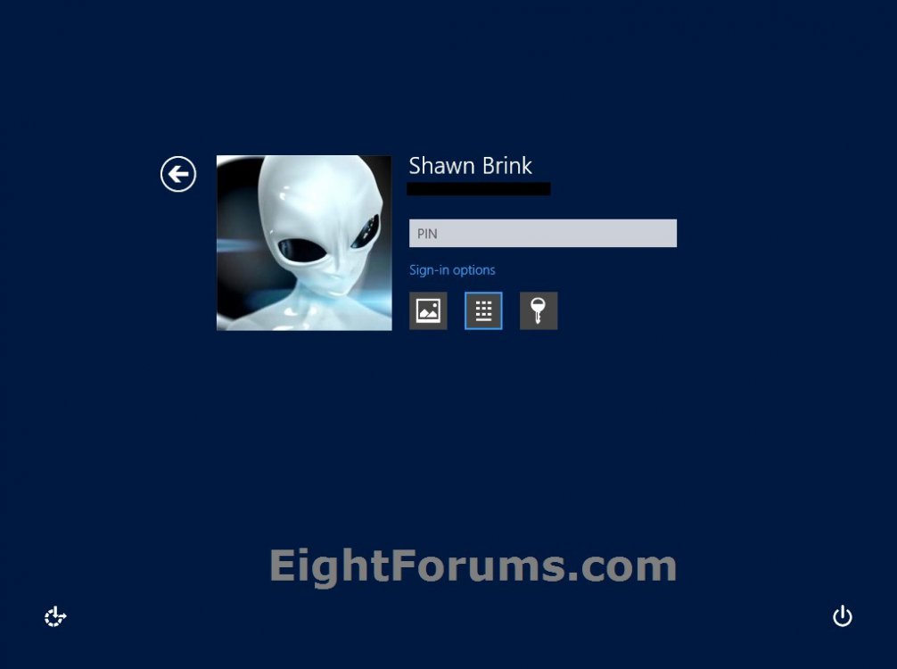 Sign-in_Windows_8_PIN.jpg