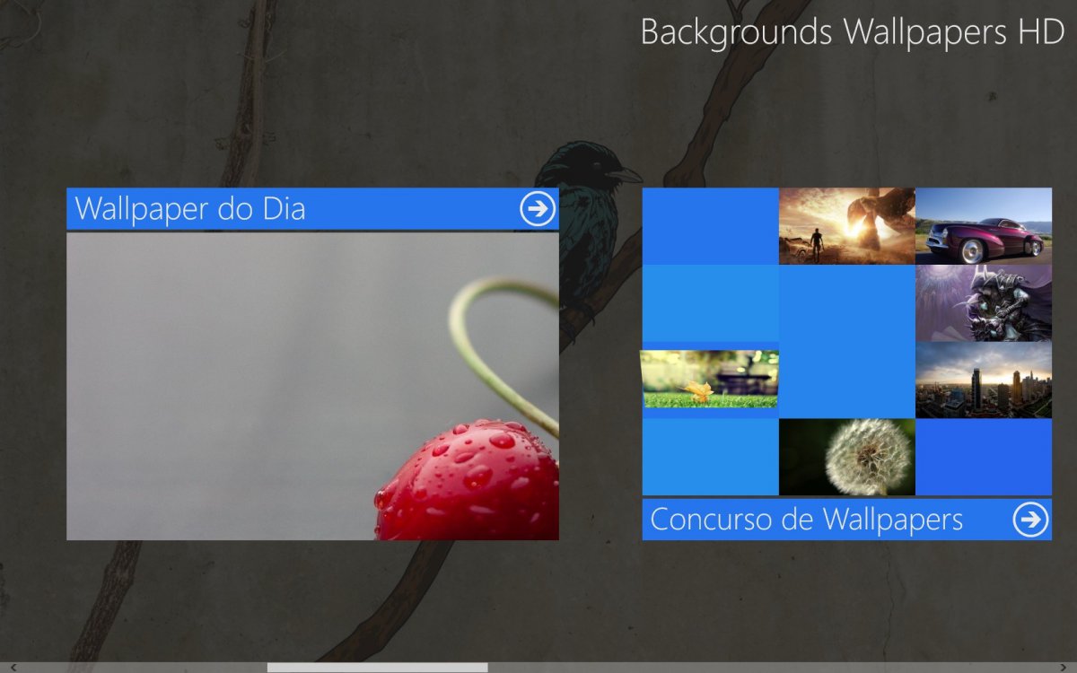 WP HD 3.jpg