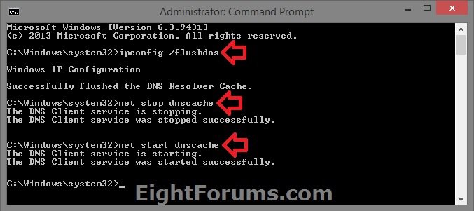 Flush_and_Reset_DNS_Command.jpg