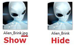 File_Name_Extension_Example.jpg File_Name_Extension_Example.jpg