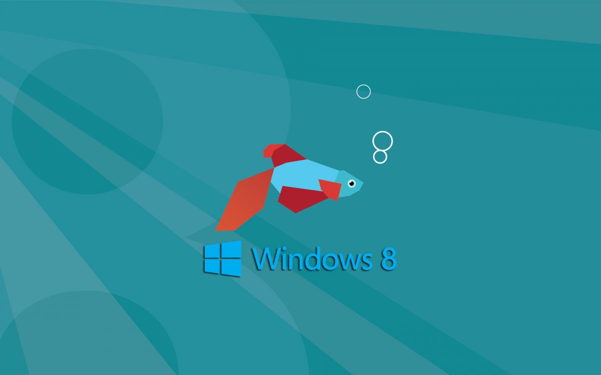 W8.jpg