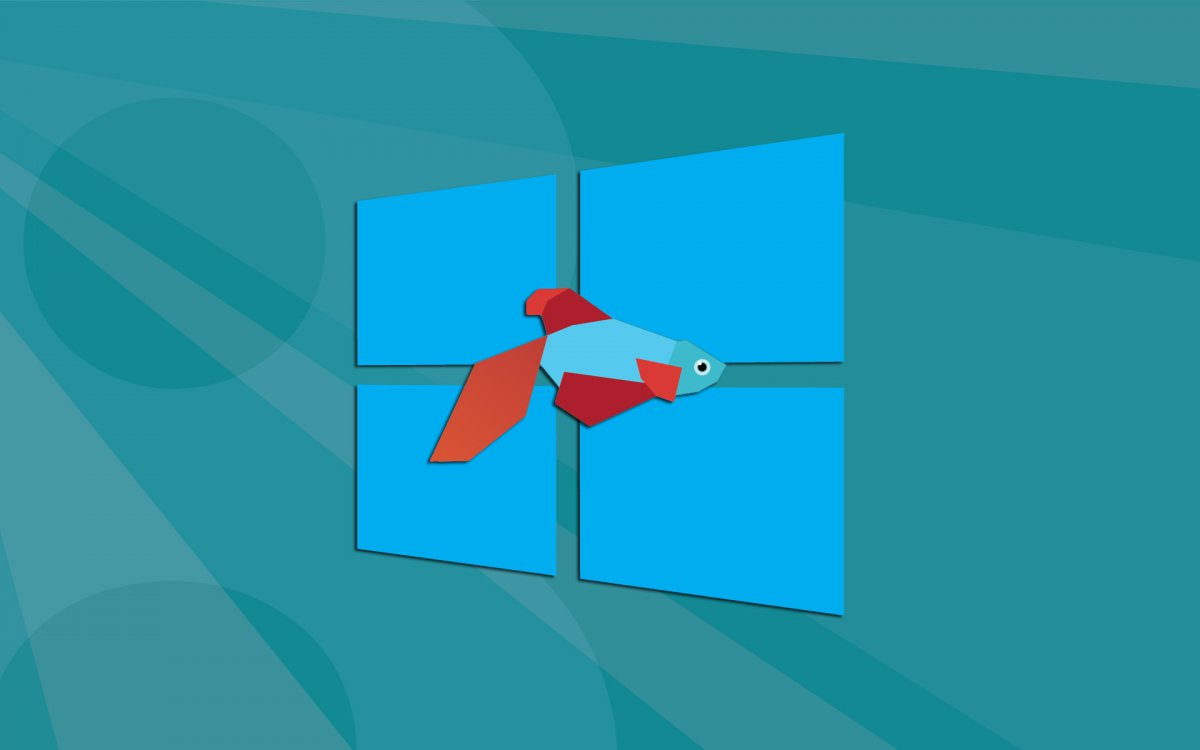 W8_big-flag.jpg