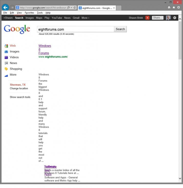 Google_Search_Bug.jpg
