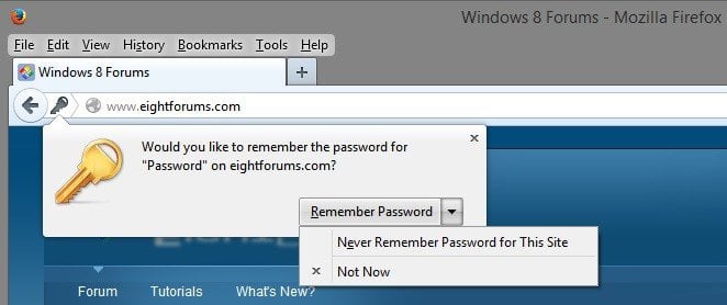 Firefox_Remember_Password.jpg