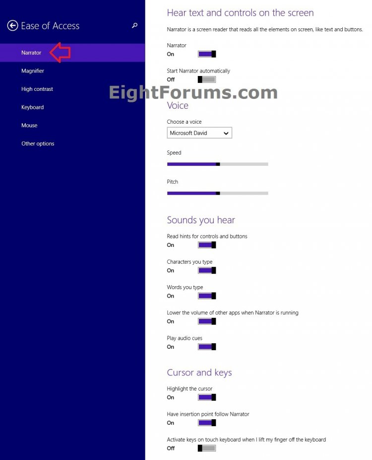 Narrator_PC_Settings.jpg Narrator_PC_Settings.jpg