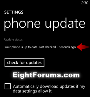 Windows_Phone_8_Check_for_Software_Update-5.png
