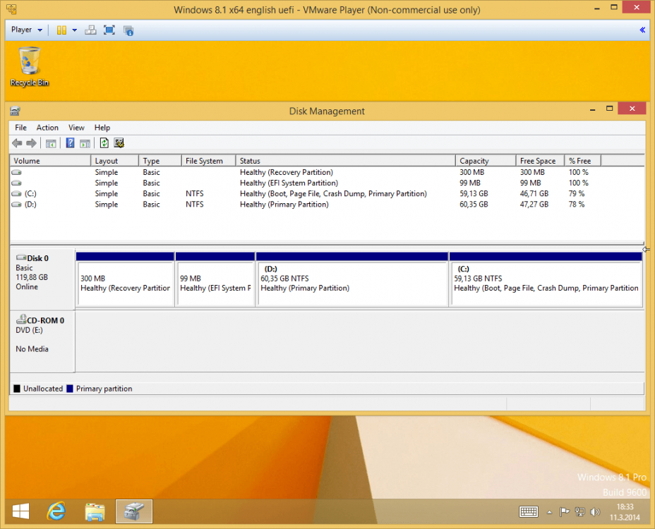 Windows 8.1 Disk Management.png