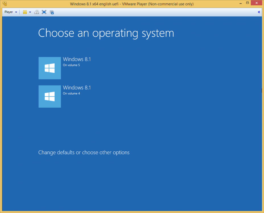 Choose an operating system Windows 8.1.png