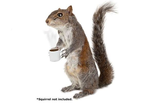 Squirrel-Coffee-Cup_19143-l.jpg