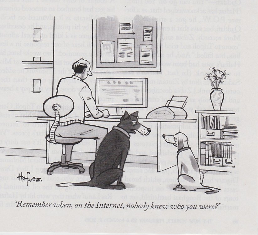 DOGS W COMP.jpg