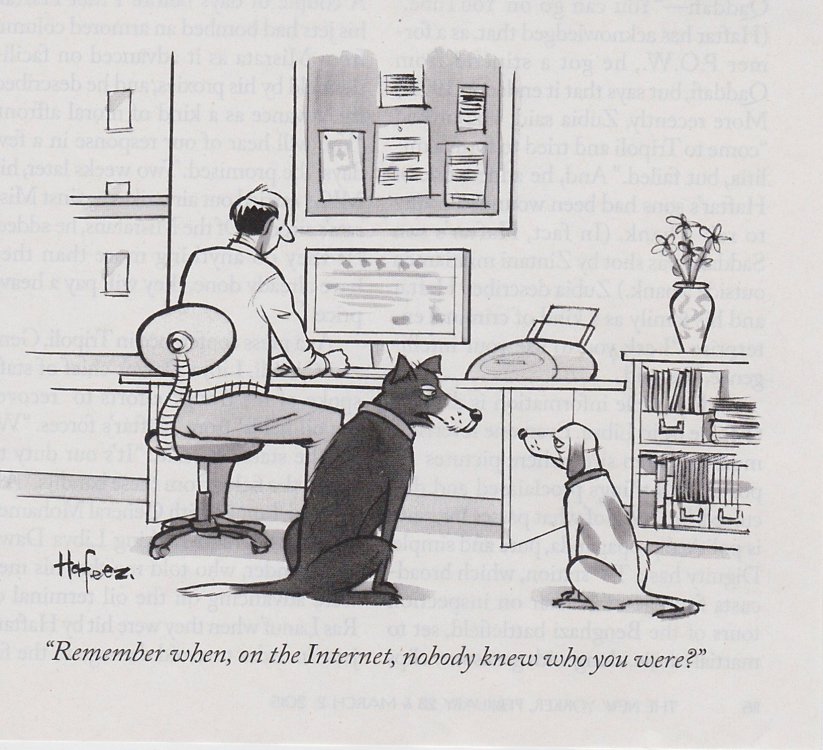 DOGS W COMP.jpg
