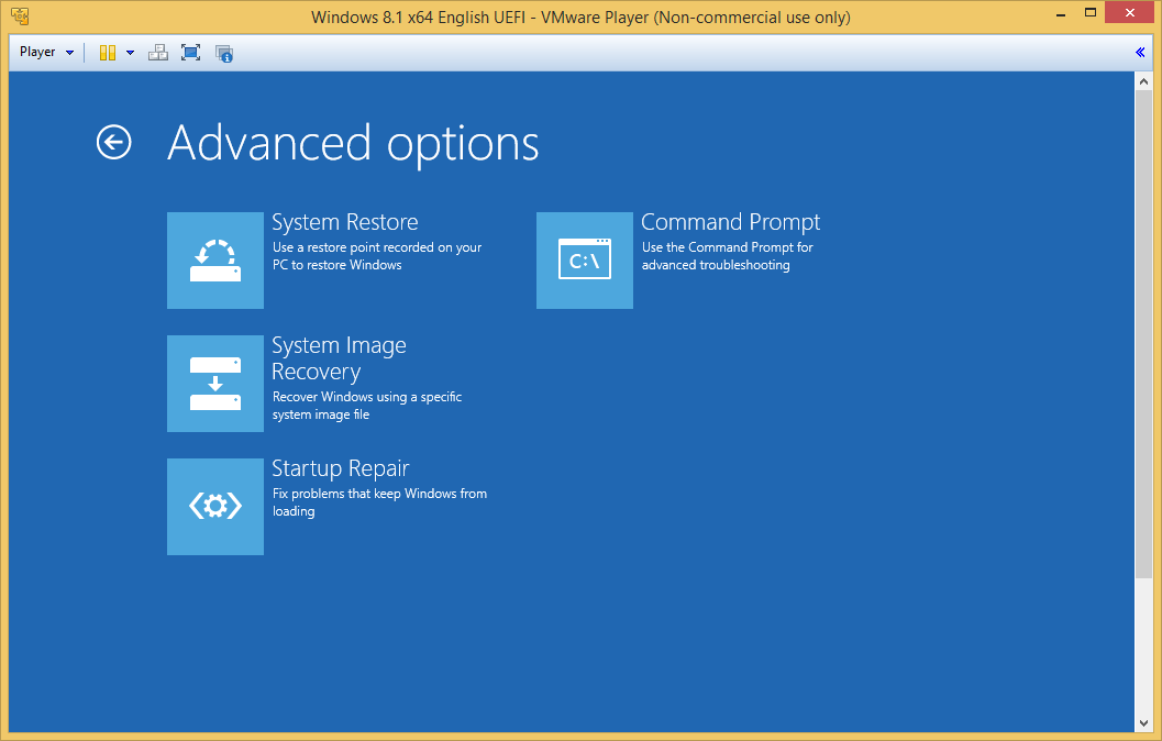 Advanced options without Startup Settings.png