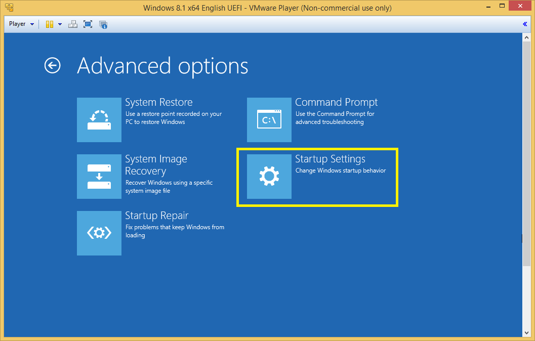 Advanced options with Startup Settings.png