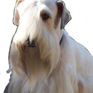 magilla