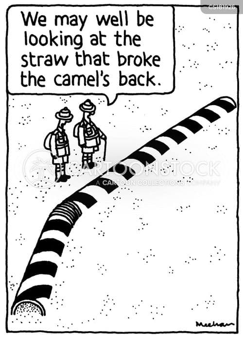 animals-proverb-straws-the_straw_that_broke_the_camel_s_back-camels-camels_back-kmhn93_low.jpg